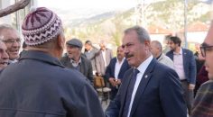 TİN: ÇAMELİ YOLU, İLÇENİN GÜZELLİĞİNE GÜZELLİK KATTI