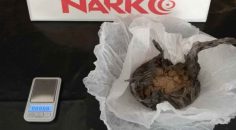 DENİZLİ’DE 11 ZEHİR TACİRİ TUTUKLANDI