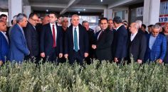 BÜYÜKŞEHİR’DEN ZEYTİN SEFERBERLİĞİ