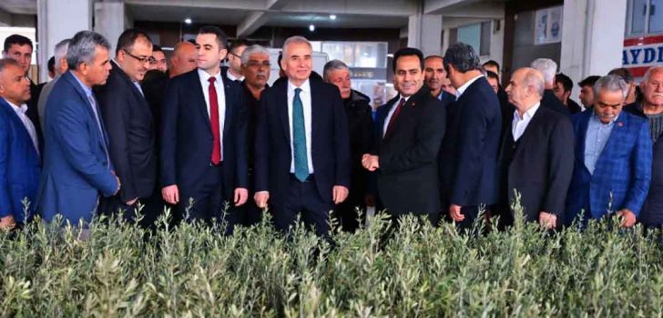 BÜYÜKŞEHİR’DEN ZEYTİN SEFERBERLİĞİ