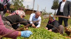 20 YILDA DENİZLİ TARIMINA 10,3 MİLYAR DESTEK