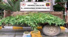 SARAYKÖY’DE BÜYÜK UYUŞTURUCU OPERASYONU