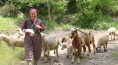 MERKEZEFENDİ’DE KADIN ÜRETİCİLER SÜRÜLERİNİ BÜYÜTÜYOR