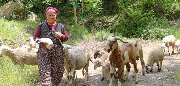 MERKEZEFENDİ’DE KADIN ÜRETİCİLER SÜRÜLERİNİ BÜYÜTÜYOR