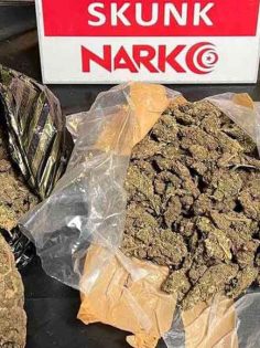 DENİZLİ’DE 13 ZEHİR TACİRİ TUTUKLANDI