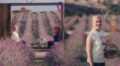 MERKEZEFENDİ’NİN MOR GÜZELLİĞİ, LAVANTA BAHÇESİ