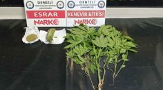 DENİZLİ’DE 18 ZEHİR TACİRİ TUTUKLANDI