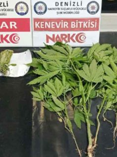 DENİZLİ’DE 18 ZEHİR TACİRİ TUTUKLANDI