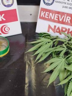 DENİZLİ’DE 11 ZEHİR TACİRİ TUTUKLANDI