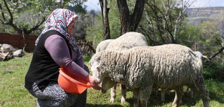 BAŞKAN DOĞAN: ÜRETEN, GELİŞEN VE BÜYÜYEN BİR MERKEZEFENDİ İÇİN