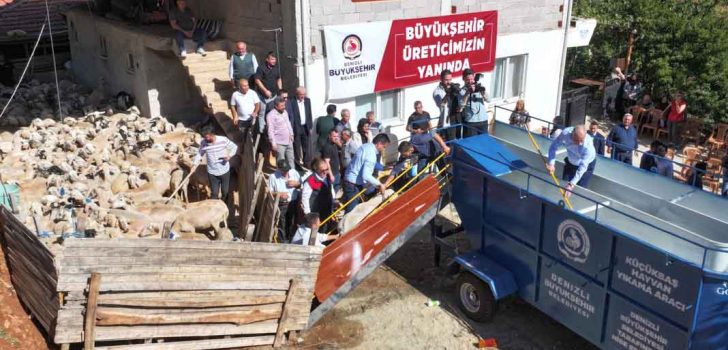 BÜYÜKŞEHİR’DEN KÜÇÜKBAŞ HAYVANCILIĞA DESTEK