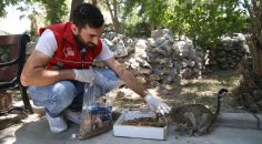 MERKEZEFENDİ’DE HİÇBİR CANLI YALNIZ DEĞİL