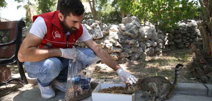 MERKEZEFENDİ’DE HİÇBİR CANLI YALNIZ DEĞİL