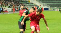 HOROZ FETHİYE’YE HAZIR