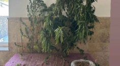 KALE’DE 2 ZEHİR TACİRİ TUTUKLANDI