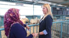 KADIN ÜRETİCİLERE 3. KEZ KÜÇÜKBAŞ HAYVAN VE YEM DESTEĞİ