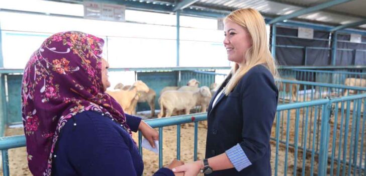 KADIN ÜRETİCİLERE 3. KEZ KÜÇÜKBAŞ HAYVAN VE YEM DESTEĞİ