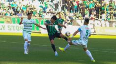 HOROZ SARIYER’İ GÖZÜNE KESTİRDİ