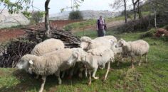 MERKEZEFENDİLİ KADIN ÜRETİCİLERİN YÜZÜNÜ GÜLDÜREN DESTEK
