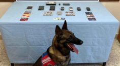 JANDARMA’DAN SARAYKÖY’DE OPERASYON