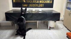 2 YABANCI UYRUKLU ZEHİR TACİRİ TUTUKLANDI