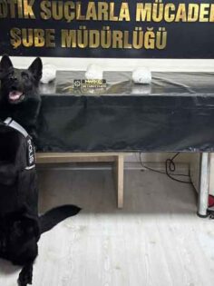 2 YABANCI UYRUKLU ZEHİR TACİRİ TUTUKLANDI