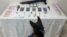 ZEHİR TACİRLERİNE OPERASYON