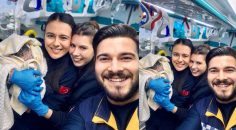 AMBULANSTA DÜNYAYA GELDİ