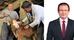 PAMUKKALELİ BESİCİYE ÜCRETSİZ VETERİNERLİK HİZMETİ