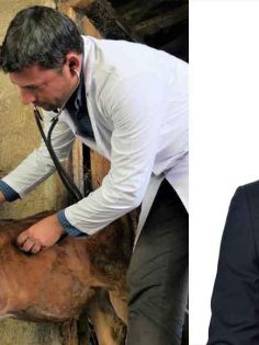 PAMUKKALELİ BESİCİYE ÜCRETSİZ VETERİNERLİK HİZMETİ