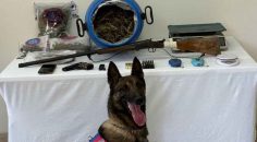 SARAYKÖY’DE ZEHİR TACİRİ TUTUKLANDI