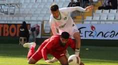 HOROZ TEPETAKLAK DÜŞÜYOR