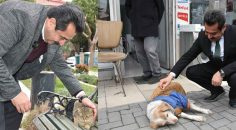 ERTEMUR’DAN CAN DOSTLARA 4 ÖNEMLİ PROJE