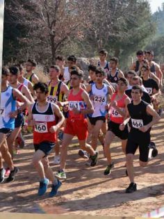 ANALİG KROS BÖLGE ŞAMPİYONASI DENİZLİ’DE