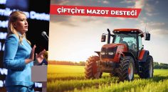 MERKEZEFENDİLİ ÇİFTÇİNİN MAZOT DERDİ SONA ERECEK