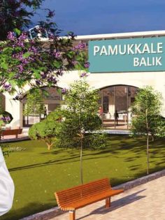 PAMUKKALE BALIK HALİ PEKDEMİR İLE HAYAT BULACAK