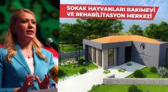 SOKAK HAYVANLARI BAKIMEVİ ÇOK YAKINDA AÇILIYOR