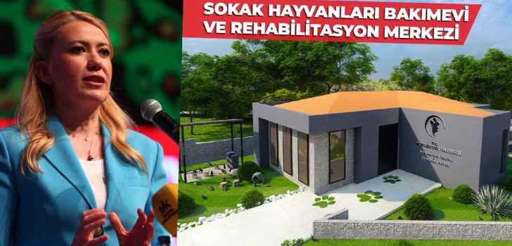 SOKAK HAYVANLARI BAKIMEVİ ÇOK YAKINDA AÇILIYOR