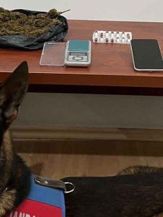 JANDARMA’DAN İKİ İLÇEDE UYUŞTURUCU OPERASYONU
