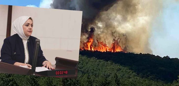 DENİZLİ MİLLETVEKİLİ ÜN: YANGININ ZARARLARINI KARŞILAYIN