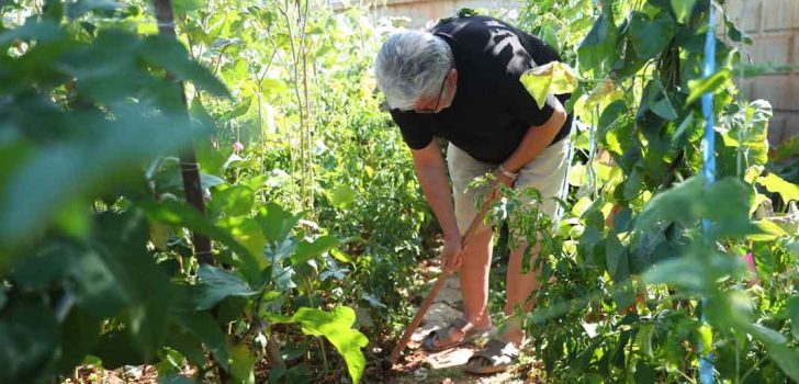 MERKEZEFENDİ’DE HOBİ BAHÇESİ BAŞVURULARI BAŞLIYOR