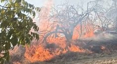 ÇİVRİL’DEKİ YANGINLAR SÖNDÜRÜLDÜ