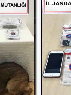 DENİZLİ’DE UYUŞTURUCU OPERASYONU