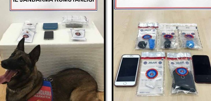 DENİZLİ’DE UYUŞTURUCU OPERASYONU
