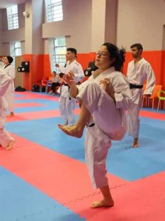 KARATE ADAY HAKEM KURSU BAŞLADI