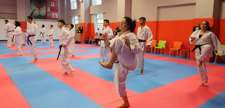 KARATE ADAY HAKEM KURSU BAŞLADI