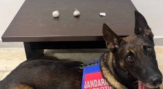 EROİN ELE GEÇİRİLDİ