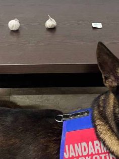 EROİN ELE GEÇİRİLDİ