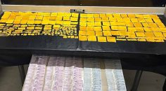 TORBACI İLE BİRLİKTE 28 BİN 582 KULLANIMLIK BONZAİ ELE GEÇİRİLDİ