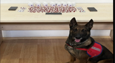 JANDARMADAN UYUŞTURUCU OPERASYONU